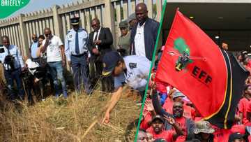 EFF accuses SAPS of failing women after 5 bodies found in Kempton Park