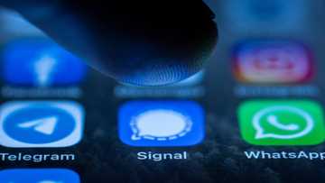 WhatsApp losing users to Signal and Telegram after updated terms