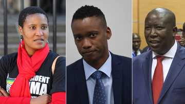 DA to lay charges against Duduzile and Duduzane Zuma as well as Julius Malema