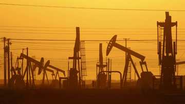 Intense talks as OPEC+ meets to decide over output amid tumbling prices