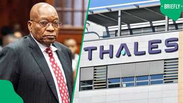 High Court orders Zuma and Thales arms deal case To proceed even if further appeals are filed