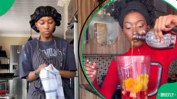 “Definitely making it again”: Lady makes Tyla’s R400 Erewhon smoothie at home, 1.1 million people interested