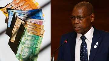 Zweli Mkhize: Digital Vibes allegedly purchased vehicle for Dedani Mkhize