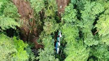 Bus plunges into Costa Rican ravine, killing at least nine