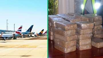 R37M drugs seized at OR Tambo, SA speculates about failed bribe at international airport