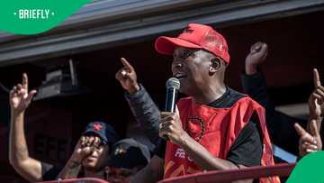 EFF president Julius Malema slams proposed BBBEE changes, SA debates
