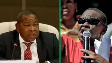 Blade Nzimande demands apology for R500M bribe claims, serves Mthunzi Mdwaba cease and desist letter