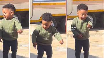 Adorable toddler boy does trending Mnike dance challenge: Mzansi gushes over the cute groover