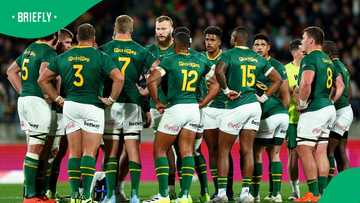 Springboks handed brutal route to 2027 Rugby World Cup final after draw