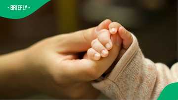 Gauteng in mourning: 2 infant bodies discovered only days apart, police investigate