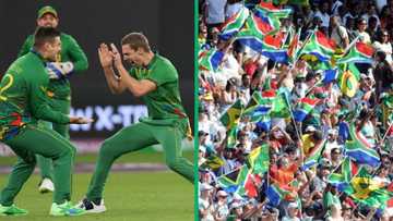 Cricket World Cup 2023: Man makes TikTok video in awe as Proteas beat New Zealand for the 1st time in 24 years