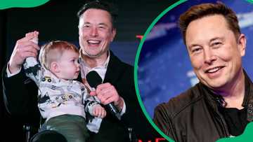 Elon Musk's dating history, girlfriends and relationship timeline