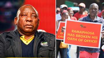 Phala Phala report: EFF calls out law enforcement agencies for not acting against President Cyril Ramaphosa