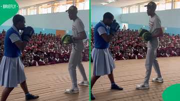 South Africans cheer for young schoolgirl's impressive boxing skills in viral video
