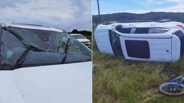 SUV flipped by elephant in KZN, family make daring escape from vehicle
