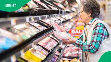 SASSA grant recipients can save on chicken as stores reveal cheapest prices across SA