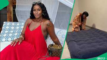 “Pinterest or home magazine”: SA raves as woman turns humble apartment into stunning modern home