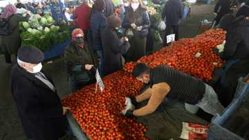 Turkish inflation tops 85%, highest since 1997