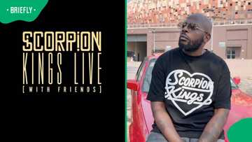 Scorpion Kings live under scrutiny amid Kempton Park killings