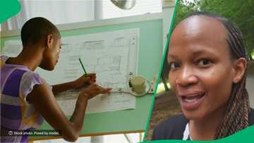 "The salary is a crime scene": Woman shows architect with master's degree's payslip