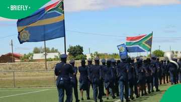 SAPS recruitment draws 156,000 registrations in 1 day, SA stunned