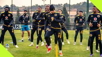 Hard-working players will always have a place in Nasreddine Nabi’s squad