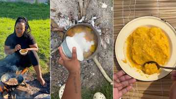 Woman demonstrates how to make Xhosa dish, Twitter video of umqa recipe goes viral and gets over 250k views