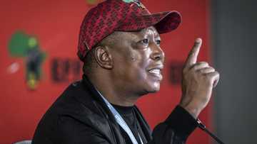 EFF slaughters 5 cows in thanksgiving rally in Tembisa, South Africa reacts