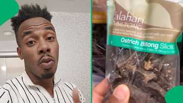 "These are doggy treats": American man in SA educates friend about biltong, Mzansi people weigh in