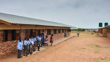 "Doesn't make sense": South Africans raise concern as the KZN Education Department announces rural school closures