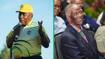 Ramaphosa reveals more former presidents to join ANC campaign trail after Thabo Mbeki