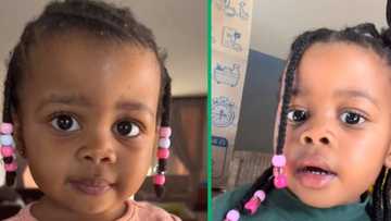 TikTok Video captures cute moment of little girl wanting white bread over brown one, SA laughs
