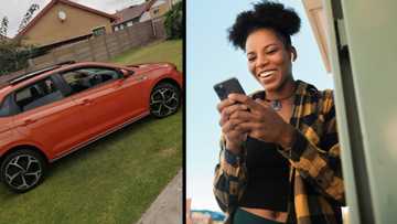 "It slaps": Man doubts his whip's colour but South Africans are loving it