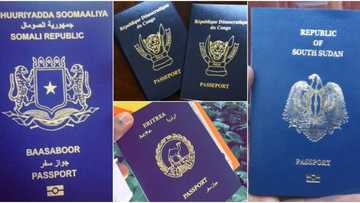 List of 7 Most Worthless Passports in Africa Released, Sudan Is Number 3