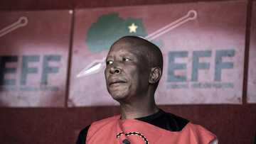 Julius Malema weighs in on fuel levy hike, EFF leader concerned about effect on struggling families