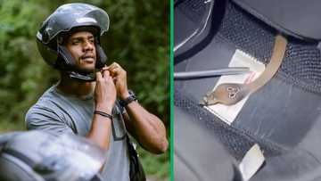 Man finds cobra chilling in biker's helmet in video, viewers terrified: "New fear unlocked"