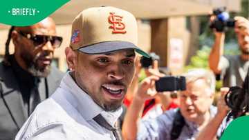 Chris Brown’s Former Housekeeper Seeks Arrest Warrant Over $9 Million Dog Bite Judgment