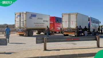 South Africans question BMA after undocumented passengers dound aboard Zimbabwean buses in Limpopo
