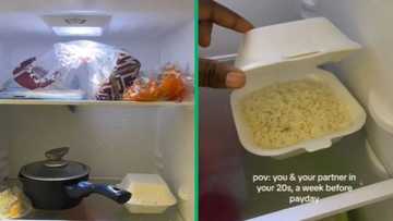 TikTok video showing state of SA couple's fridge before payday has Mzansi in stitches