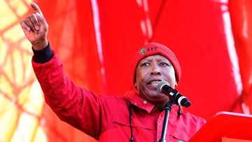 EFF wants to replace "weak" ANC, says party leader Julius Malema during Freedom Charter Day address