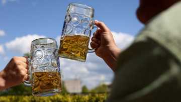 Fact check: No, WHO is not proposing alcohol ban for women of childbearing age
