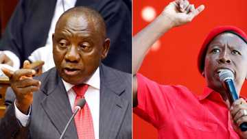 EFF to petition the High Court once again to unseal Ramaphosa's CR17 bank statements