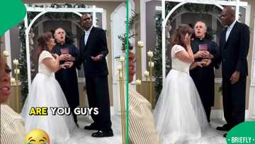 "I am sorry": A scorned woman causes a scene at the wrong wedding and realises the mistake too late