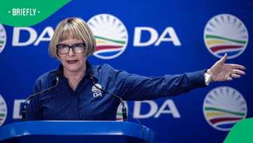 Helen Zille says illegal immigrants must be arrested and deported