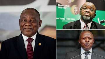 Seat next to President Cyril Ramaphosa will cost R1.2m at ANC's 110th anniversary