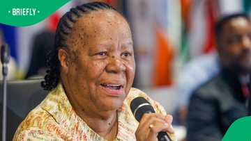 Former Minister Naledi Pandor's US visa revoked, South Africans comment
