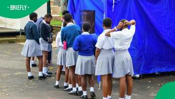 South Africans worried that 7,627 teenagers fell pregnant in Durban in 2024 and 2025