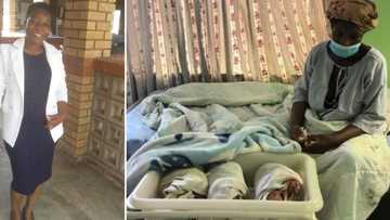 Midwife lauded by health MEC for helping deliver quadruplets in small Limpopo clinic