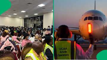 "We pray for them": Ugandan repatriates receive warm welcome at the airport following SA unrest
