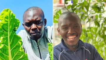 Halala: From a life of crime to living the dream, former criminal becomes successful farmer